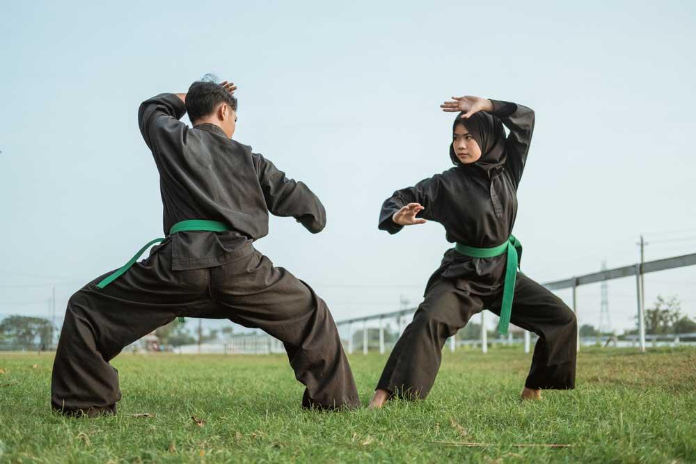 Pencak Silat